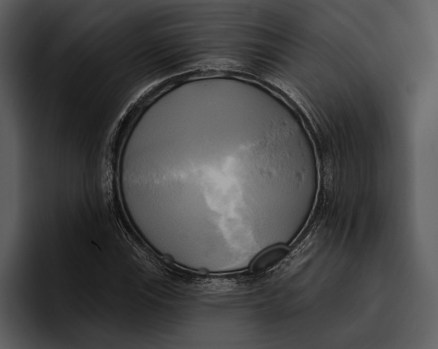 X0000095681115200801291151