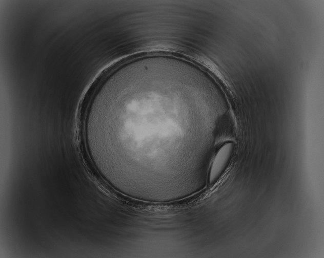 X0000095681116200801291151