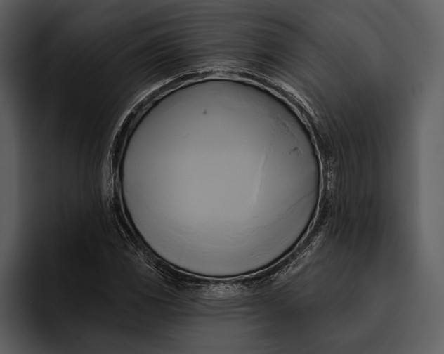 X0000095681117200801291151