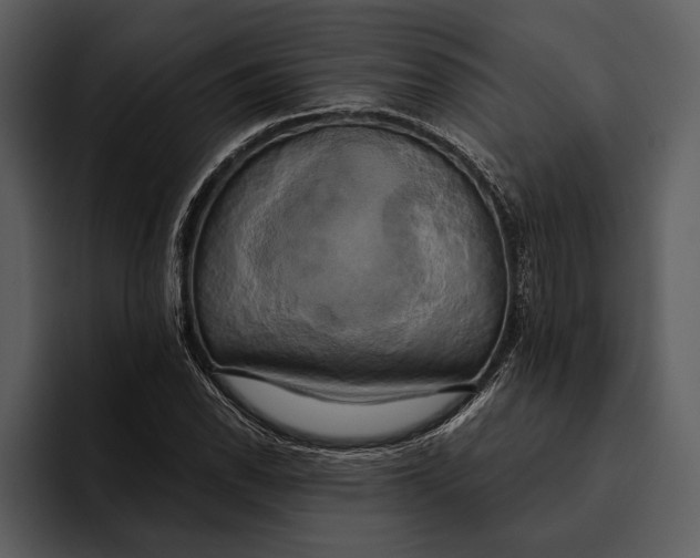 X0000095681118200801291151