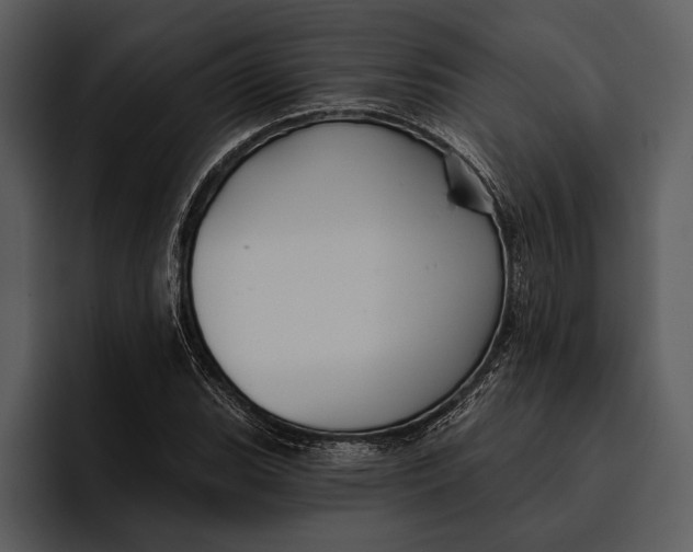 X0000095681119200801291151