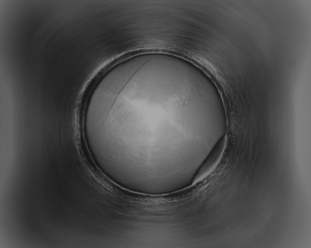 X0000095681120200801291151