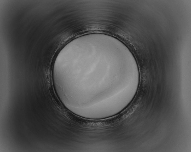 X0000095681121200801291151