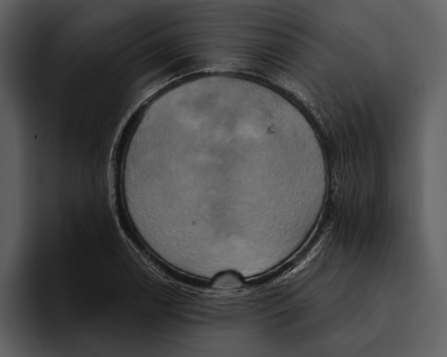 X0000095681122200801291151