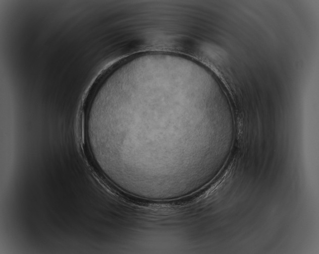 X0000095681123200801291151