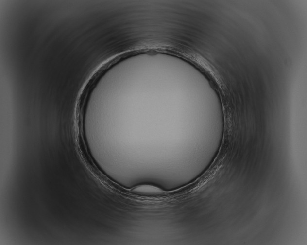 X0000095681124200801291151