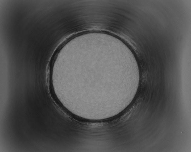 X0000095681126200801291151