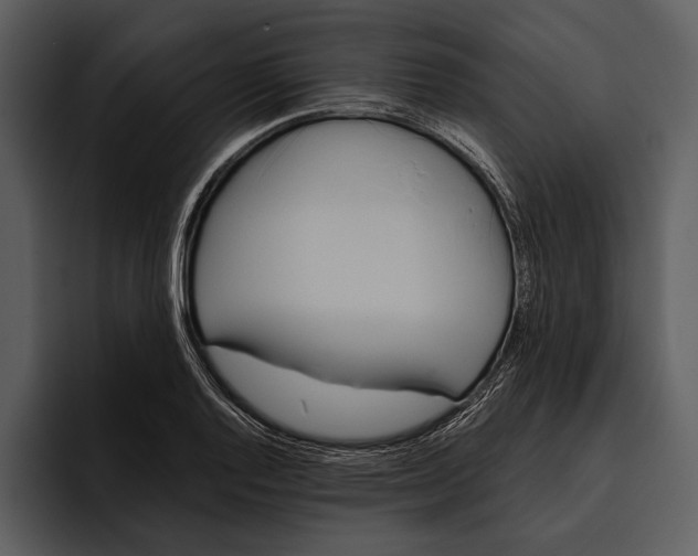 X0000095681128200801291151