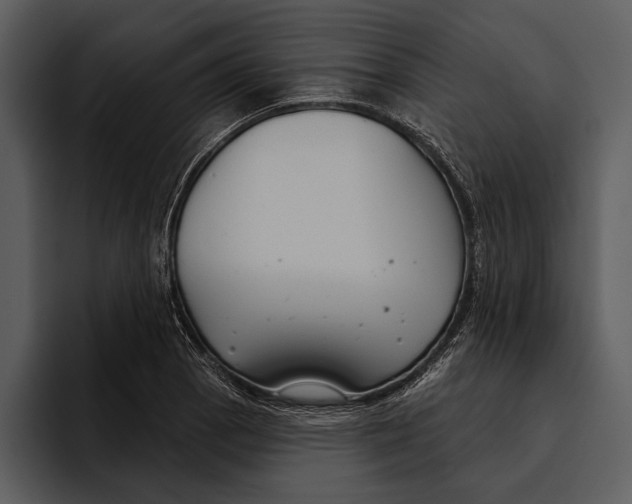 X0000095681129200801291151