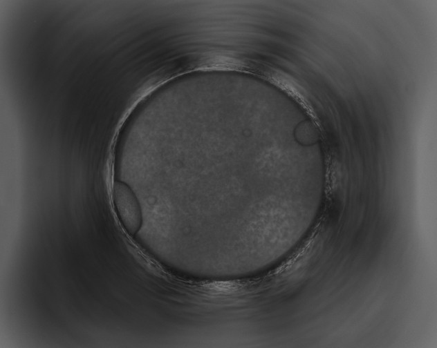 X0000095681130200801291151