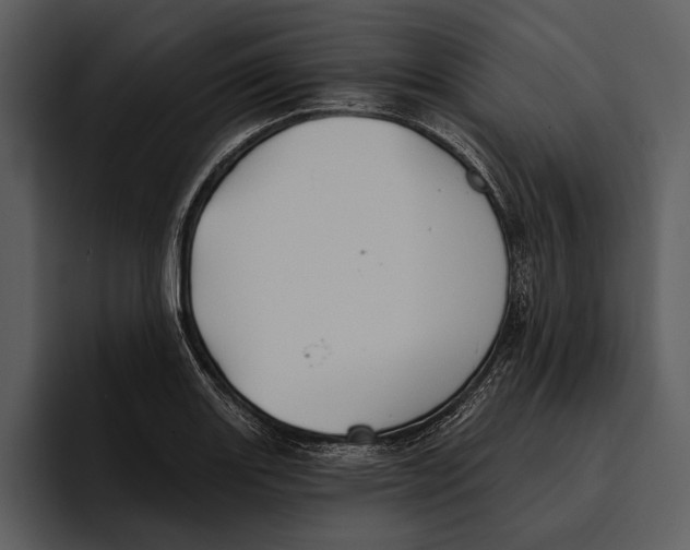 X0000095681131200801291151