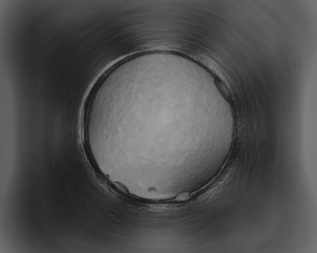 X0000095681132200801291151