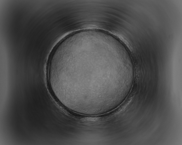 X0000095681134200801291151