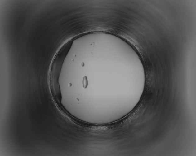 X0000095681135200801291151