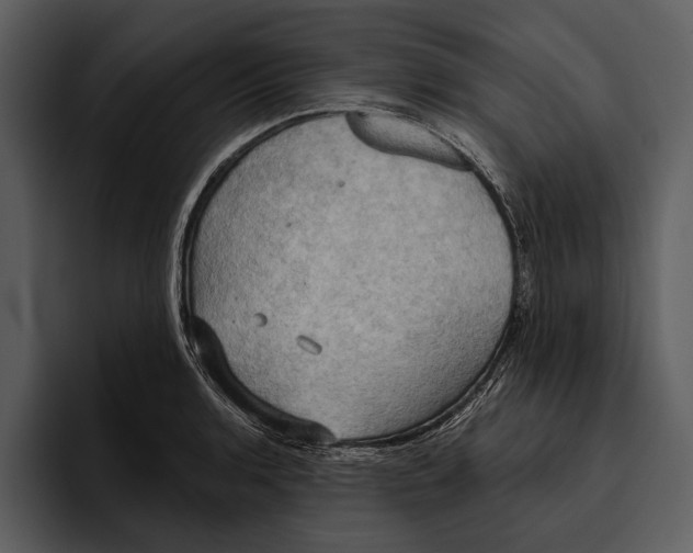 X0000095681136200801291151