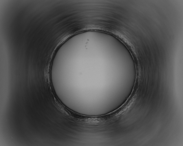 X0000095681137200801291151