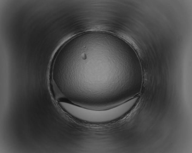 X0000095681138200801291151