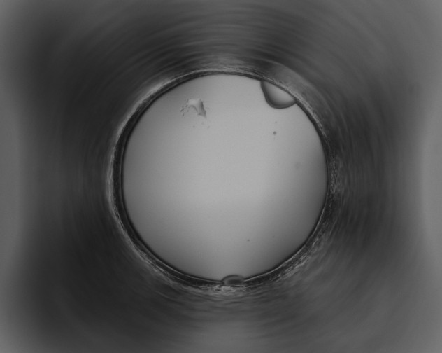 X0000095681139200801291151