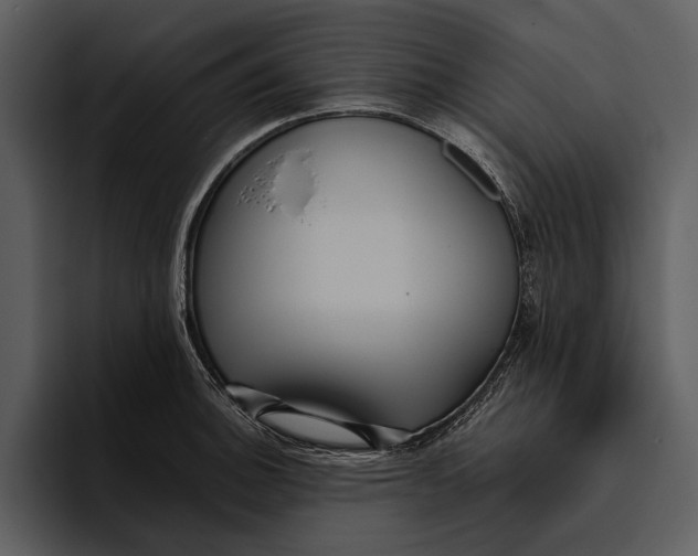 X0000095681140200801291151