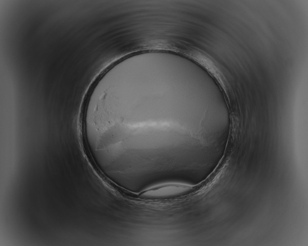 X0000095681141200801291152