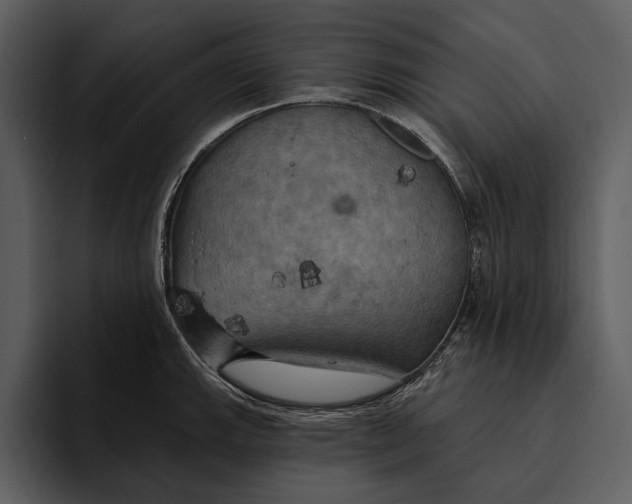 X0000095681143200801291152