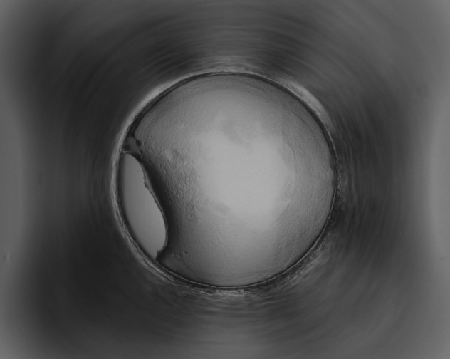 X0000095681144200801291152