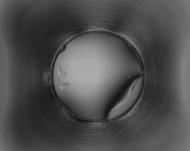 X0000095681145200801291152