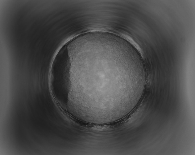 X0000095681146200801291152