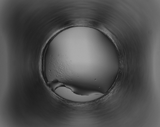 X0000095681147200801291152