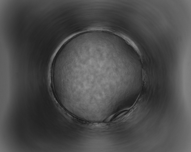 X0000095681148200801291152