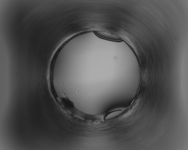 X0000095681149200801291152