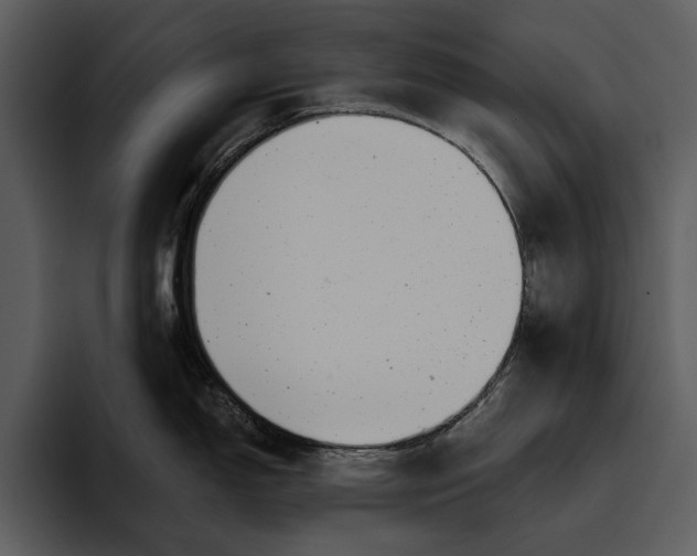 X0000095681150200801291152