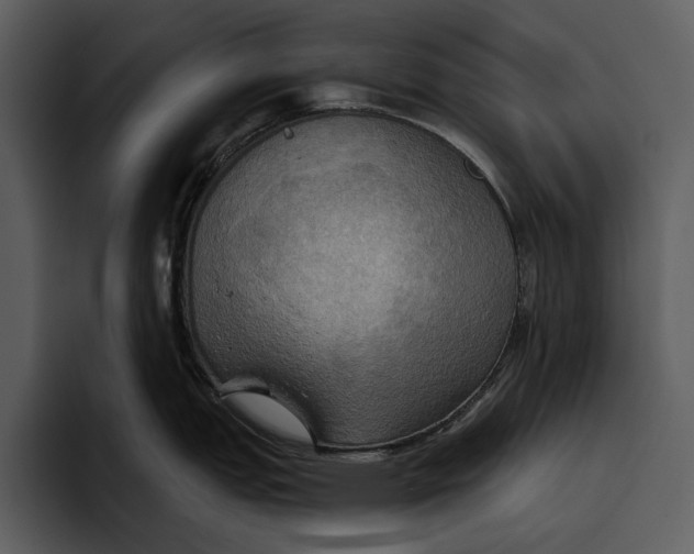 X0000095681151200801291152