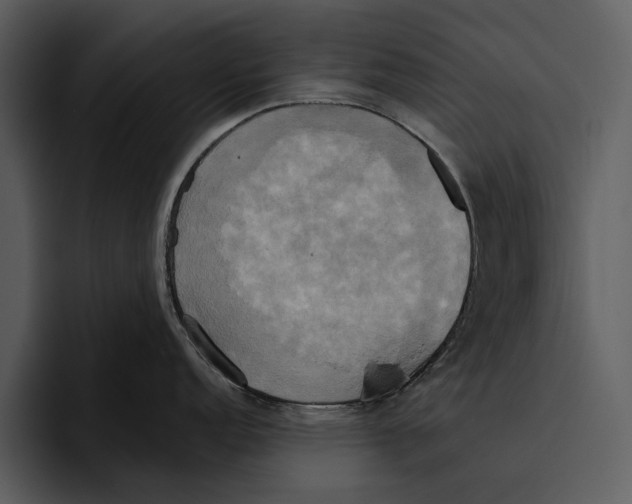 X0000095681152200801291152