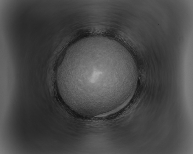 X0000095681153200801291151