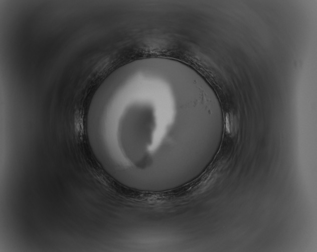 X0000095681155200801291151