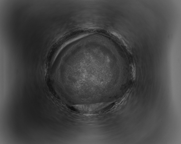 X0000095681157200801291151