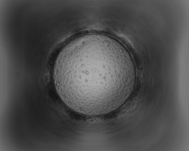 X0000095681159200801291151