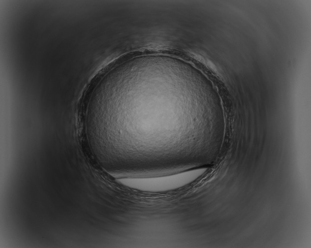 X0000095681160200801291151