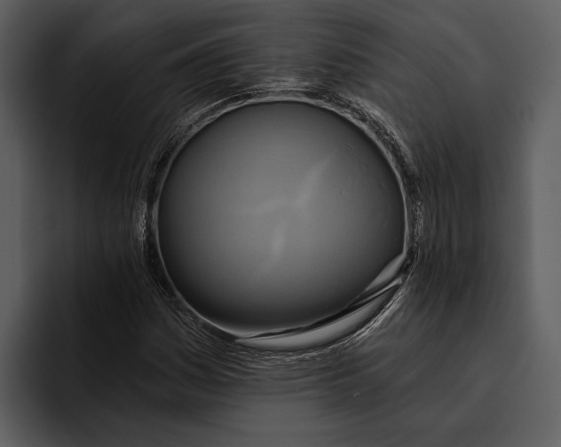 X0000095681161200801291151