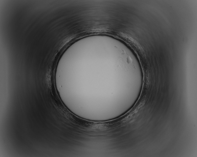 X0000095681162200801291151