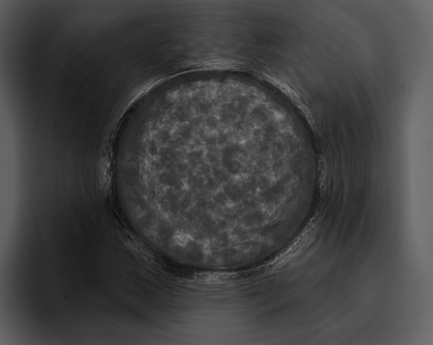 X0000095681163200801291151