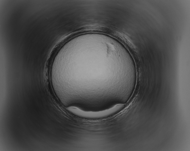 X0000095681164200801291151