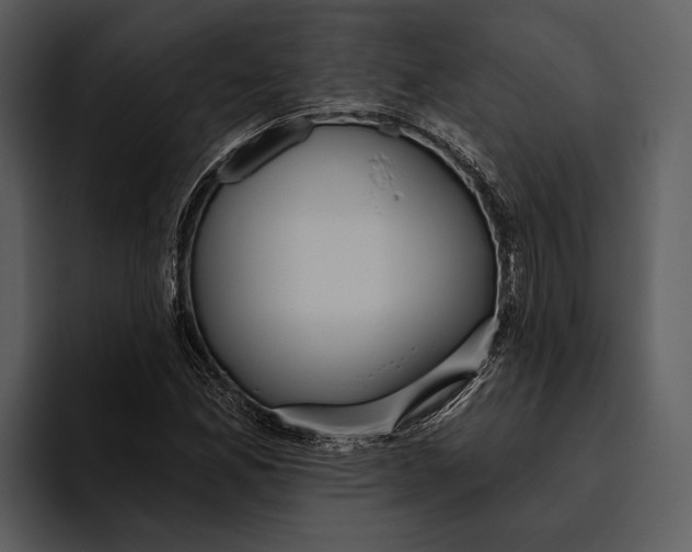 X0000095681165200801291151