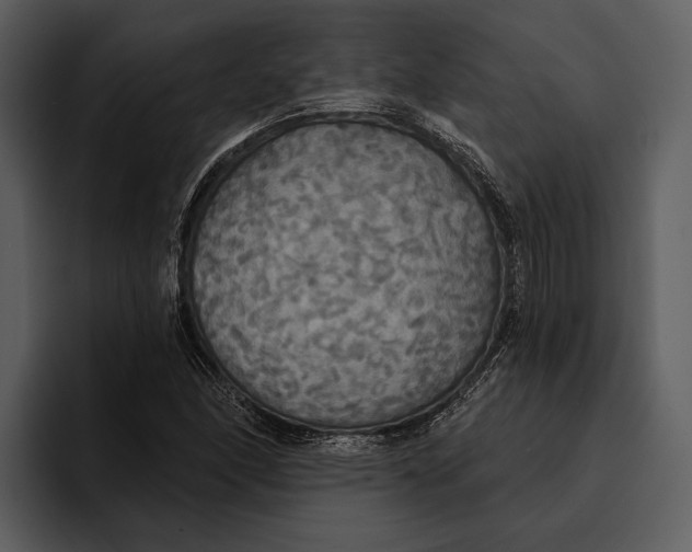 X0000095681166200801291151