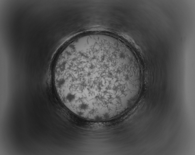 X0000095681167200801291151