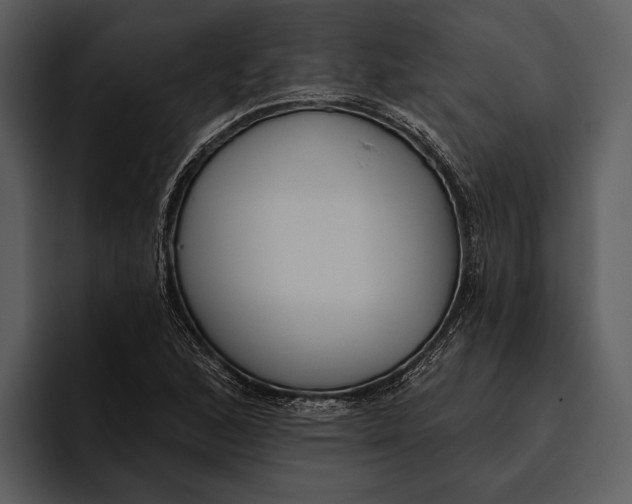 X0000095681168200801291151