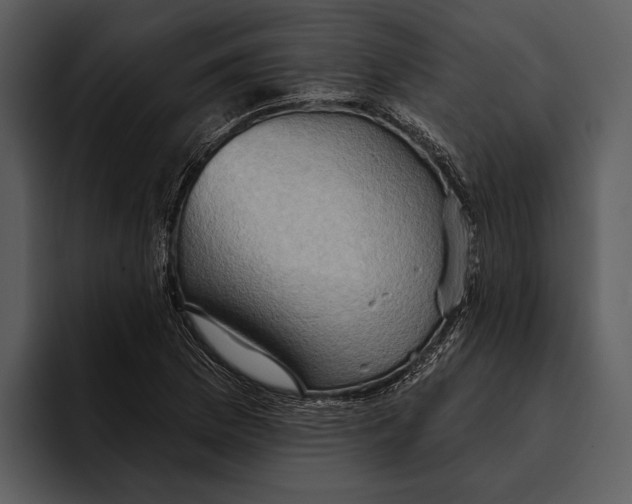 X0000095681169200801291151