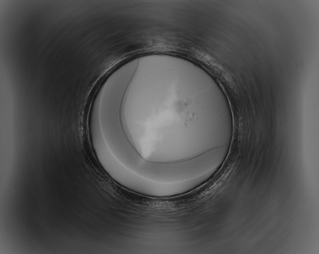 X0000095681170200801291151