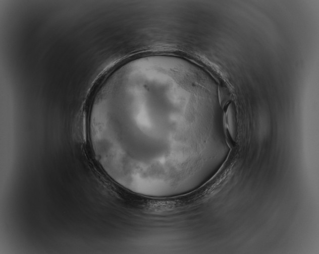 X0000095681171200801291151